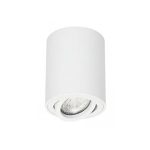 FOCO CILINDRO I BLANCO SOBREPUESTO 1XGU10