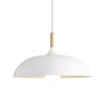 LUMINARIA COLGANTE MANE 1XE27