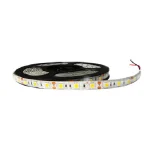 CINTA LED SMD CHIP 5050 60LED/MT 12V EXTERIOR